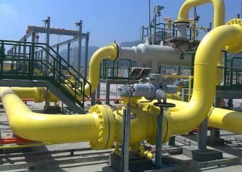 Nigeria’s Largest Gas Plant Opens, Unlocking Opportunities for Small Businesses