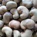Cashew Exporters Earn $8.6 Million in 2024, NEPC Reveals