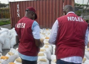 NDLEA to Launch Full Anti-Drug Control Operations  at Benin Airport