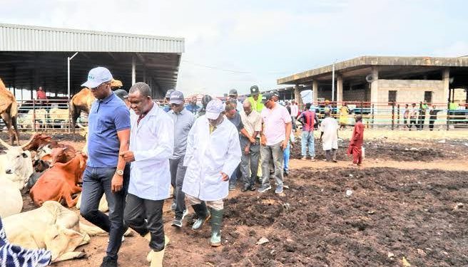 Lagos Shuts Down Abattoir Over UnHealthy Conditions, Traders Found Sleeping Among Animals