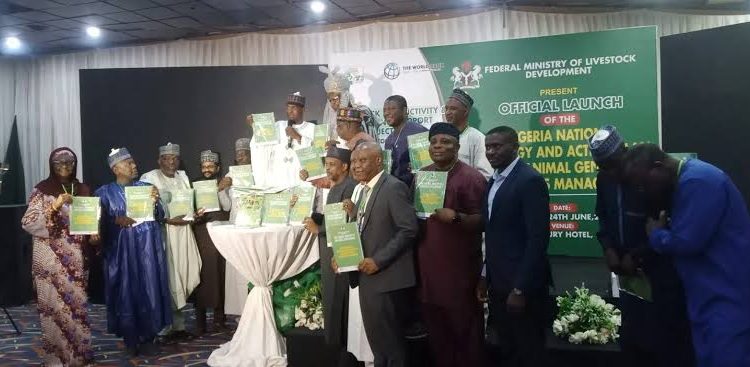 Nigeria Launches National Strategy for Animal Genetic Resources to Boost Livestock Sector