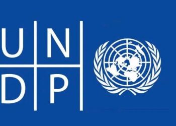 UNDP Launches $50,000 Nature-Positive MSME Initiative to Boost Green Enterprise in Nigeria