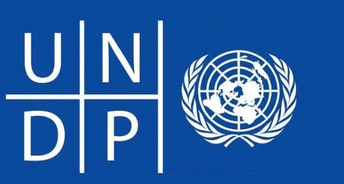 UNDP Launches $50,000 Nature-Positive MSME Initiative to Boost Green Enterprise in Nigeria