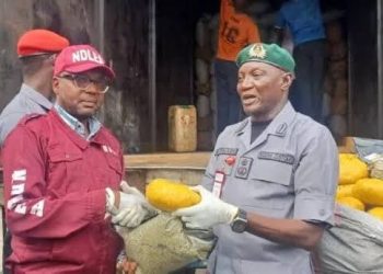 Seme Customs Command Generates N3.57 Billion in Five Months, Seizes Contraband Worth N889 Million