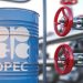 OPEC+ Raises Production Quota by 411,000 Barrels per Day ,Piling Pressure on Naira