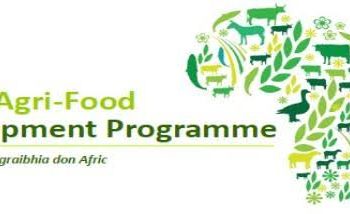 Call For Applications: Agri-Food Development Programme 2025/2026 for Agri-food Companies in Africa