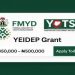 YEIDEP Committee Set to Oversee N500k Grants and Business Support