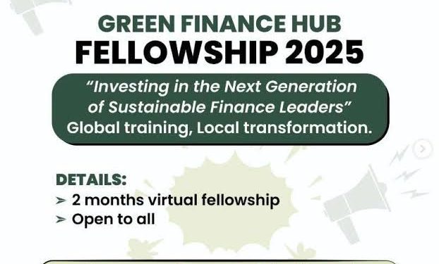 Call For Applications: Green Finance Hub Fellowship 2025
