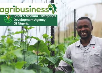 Call For Applications: SMEDAN Agri-business Development and Empowerment Program ( Financial Support | Technical Training | Business Mentorship)