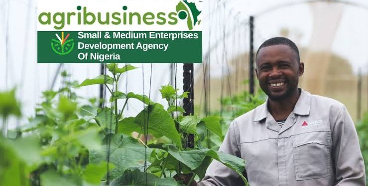 Call For Applications: SMEDAN Agri-business Development and Empowerment Program ( Financial Support | Technical Training | Business Mentorship)
