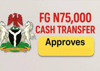 How to Fill  Rapid Response Register (RRR) and National Social Register (NSR) ₦75,000 Cash Transfer Form in 2025 – Over 60 Million Already Listed, Check If You Qualify