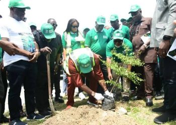 NDDC Launches Tree Planting Campaign Across Nine States in Nigeria