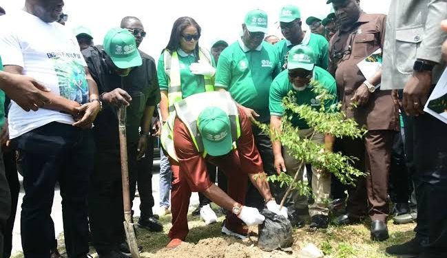 NDDC Launches Tree Planting Campaign Across Nine States in Nigeria