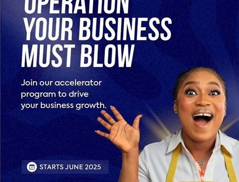 Call for Applications: MBN Lab Lagos Business Accelerator Program ( Funding +Training+ Mentorship)