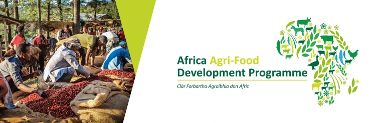 Call For Applications: Africa Agri-Food Development Program (AADP) Grant For SMEs