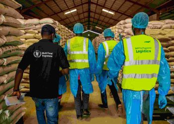 WFP to Suspend Food Aid for 1.3 Million in Northeast Nigeria Over Funding Shortfall