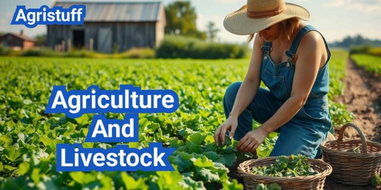 Call For Applications: Ruminant Agribusiness Starter Program (RASP) 2-Month Hands-on Internship