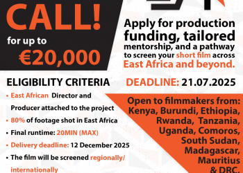 Call for Applications: EAccelerate Fund 2025 For East Africans (Up to €20,000 Grant)