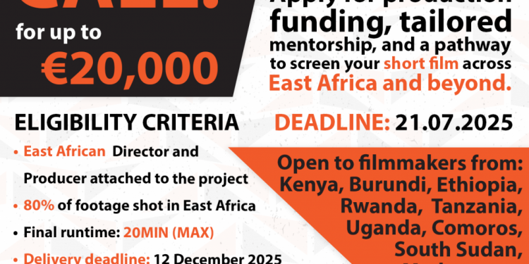 Call for Applications: EAccelerate Fund 2025 For East Africans (Up to €20,000 Grant)
