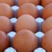Poultry Association of Nigeria to Launch Direct-to-Consumer Sales to Curb Soaring Egg Prices