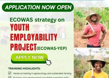 Call For Applications: ECOWAS-YEP Youth Training Program for Nigerian Youths 2025