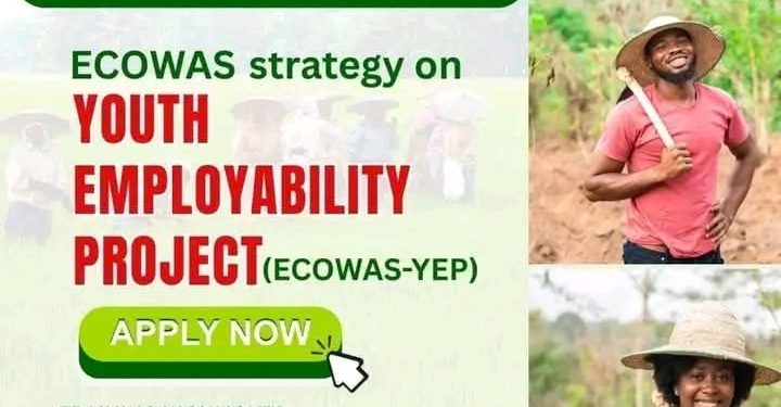 Call For Applications: ECOWAS-YEP Youth Training Program for Nigerian Youths 2025