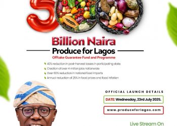 Lagos Launches N500bn ‘Produce for Lagos’ Programme to Transform Food Supply Chain