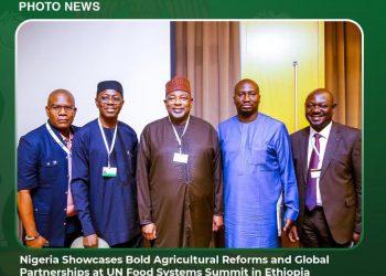 Nigeria Unveils Bold Agricultural Reforms at UN Food Summit