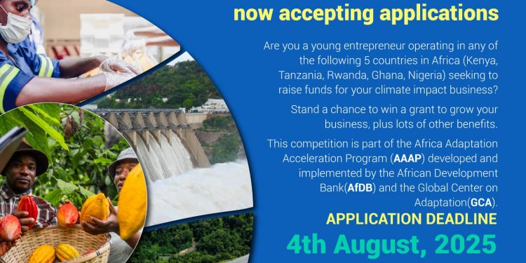 Call For Applications: In-Country YouthADAPT 2025 For Youth-led MSMEs and Innovators in Africa (Up to $30,000 in funding plus Mentorship)