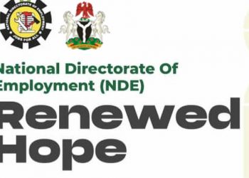 Call For Applications: NDE Renewed Hope Employment Initiative 2025 Phase 2 (Fully Funded Training, N30,000 monthly stipend, Certification, Starter Pack (Tools & Loan)