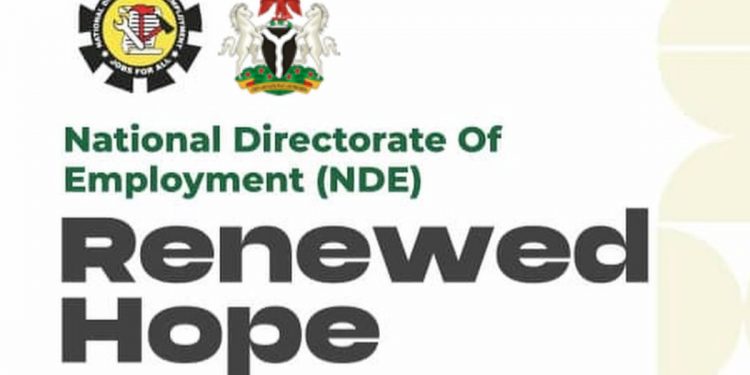 Call For Applications: NDE Renewed Hope Employment Initiative 2025 Phase 2 (Fully Funded Training, N30,000 monthly stipend, Certification, Starter Pack (Tools & Loan)