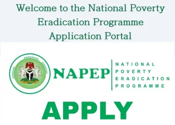 How to Apply for the National Poverty Eradication Program (NAPEP) (Free Skills Training, Internship Grants (N100,000 monthly stipend) & Microcredit)