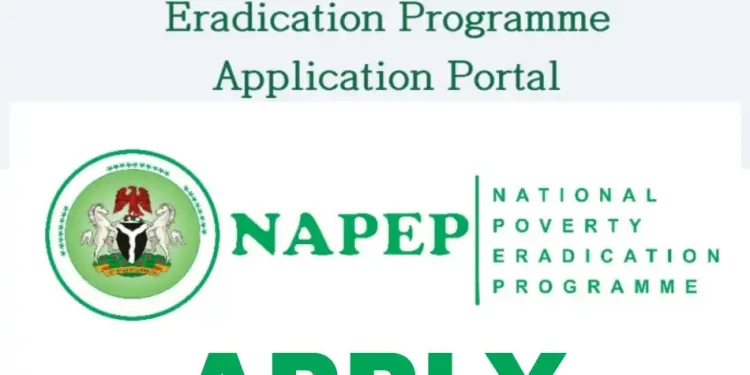 How to Apply for the National Poverty Eradication Program (NAPEP) (Free Skills Training, Internship Grants (N100,000 monthly stipend) & Microcredit)
