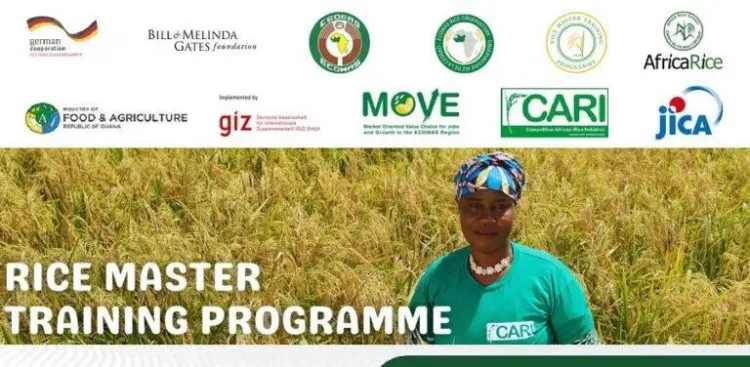 Call For Applications: Rice Miller Business Training (RMBT) Program and Business Development Support (BDS)