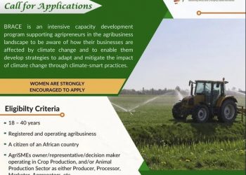 Call For Applications: BRACE Capacity Development Program For African SMEs in Agribusiness