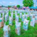 Nasarawa Distributes Free Fertiliser to 73,500 Farmers, Cultivates 3,500 Hectares of Rice