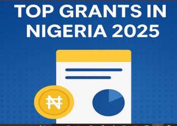 5 Top Nigerian Government Agencies Offering Grants for MSMEs in 2025 (and How to Apply)