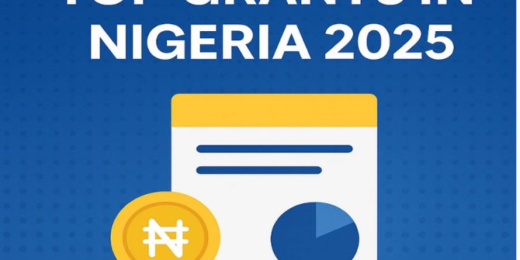 5 Top Nigerian Government Agencies Offering Grants for MSMEs in 2025 (and How to Apply)