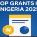 5 Top Nigerian Government Agencies Offering Grants for MSMEs in 2025 (and How to Apply)