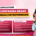 Call For Applications: Flourish Africa Business and Life Skill Program 2025, Cohort 4 ( N1.3Billiion Grants)