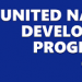 UNDP, ITFA Launch $50,000 Grant Program to Boost Nature-Positive MSMEs in Nigeria