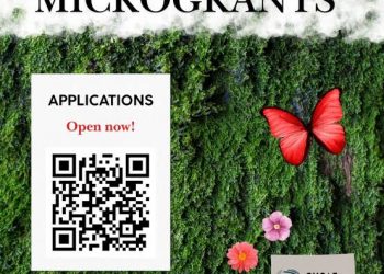 Call For Applications: Global Youth Climate Action Fund Microgrants 2025 (Fully Funded,$500 Grants)