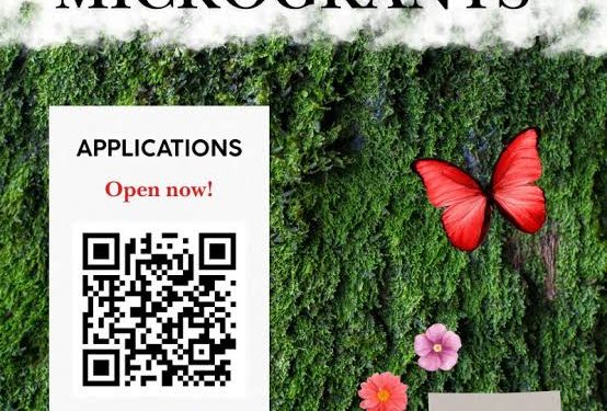 Call For Applications: Global Youth Climate Action Fund Microgrants 2025 (Fully Funded,$500 Grants)