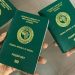 Nigeria Introduces Amnesty for Foreigners with Expired Visas to Boost Compliance