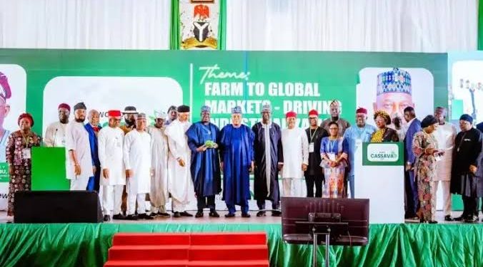 Cassava Investment in Focus as Stakeholders Commit to Nigeria’s Agricultural Transformation