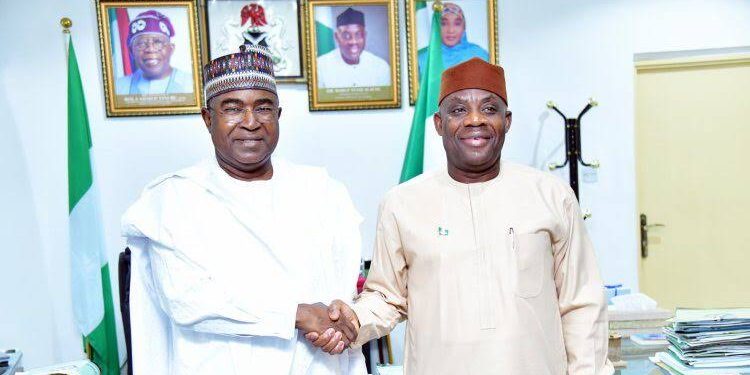 Nigerian Government to Introduce Mandatory Drug Tests for University Students, Add Drug Education to School Curriculum