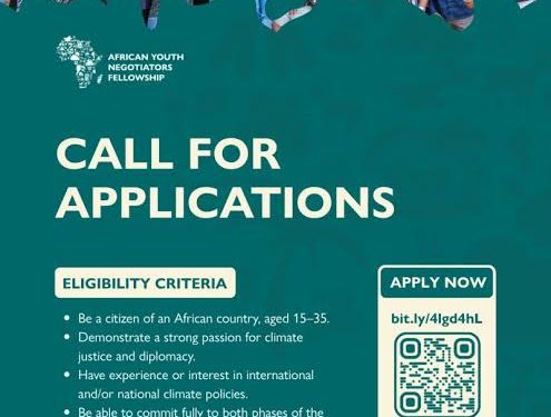 Call For Application: Africa Youth Negotiators Fellowship (AYNF) – Cohort 4