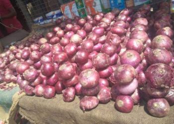 Imported Onions from Niger Republic Set to Crash Prices in Nigerian Markets