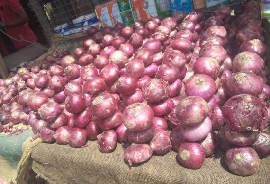 Imported Onions from Niger Republic Set to Crash Prices in Nigerian Markets