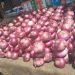Imported Onions from Niger Republic Set to Crash Prices in Nigerian Markets